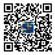 the qr code