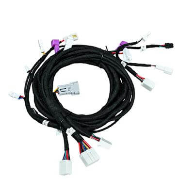 Automotive Door & Tailgate Control Wiring Harness | Car Window Control Wiring Harness